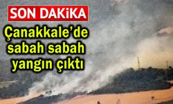 Çanakkale'de sabah sabah yangın çıktı