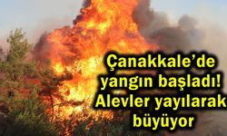 Çanakkale’de yangın başladı! Alevler yayılarak büyüyor