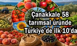 Çanakkale 58 tarımsal üründe Türkiye’de ilk 10'da