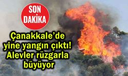 Çanakkale’de yine yangın çıktı! Alevler rüzgarla büyüyor