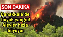 Çanakkale'de büyük yangın! Alevler hızla büyüyor