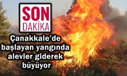 Çanakkale’de başlayan yangında alevler büyüyor