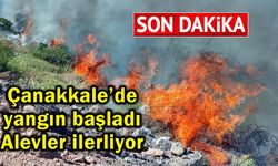 Çanakkale’de yangın başladı, alevler ilerliyor