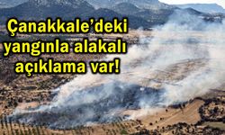 Çanakkale’deki yangınla alakalı açıklama var!