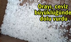 Ceviz büyüklüğünde dolu vurdu (Video)