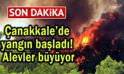 Çanakkale’de yangın başladı, alevler büyüyor!