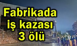 Fabrikada iş kazası 3 ölü (Video)