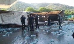 Su yüklü tır köprü ayağına çarptı : Sürücü hayatını kaybetti