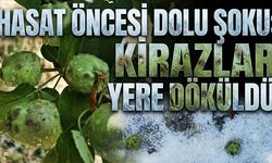 Hasat öncesi dolu şoku! Kirazlar yerlere döküldü (Video)