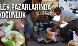 Bu pazarda meyve değil sinek satılıyor (Video)