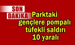 Parktaki gençlere pompalı tüfekli saldırı