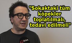 'Köpek saldırılarından sahipleri sorumlu tutulmalı' (Video)