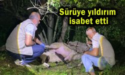 Sürüye yıldırım isabet etti, hayvanlar telef oldu (Video)