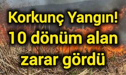 Korkunç Yangın! 10 dönüm alan zarar gördü
