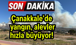Çanakkale'de yangın, alevler hızla büyüyor!