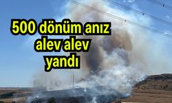 500 dönüm anız alev alev yandı
