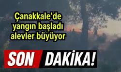Çanakkale'de yangın başladı! Alevler büyüyor