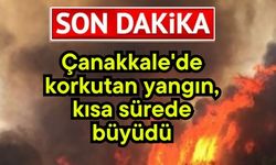 Çanakkale'de korkutan yangın, kısa sürede büyüdü
