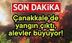 Çanakkale'de yangın çıktı, alevler büyüyor!
