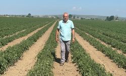 Sözleşme yaptığı firma ürünü almayınca 20 milyon lira zarar etti (Video)