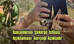 Bakanlıktan 'Çekirge İstilası' Açıklaması