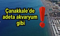 Çanakkale’de adeta akvaryum gibi!