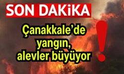 Çanakkale’de yangın, alevler büyüyor!