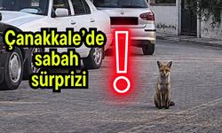 Çanakkale’de sabah sürprizi!