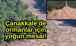 Çanakkale'de ormanlar için yoğun mesai!