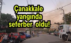 Çanakkale yangında seferber oldu!