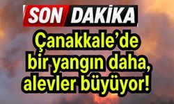 Çanakkale’de bir yangın daha, alevler büyüyor!