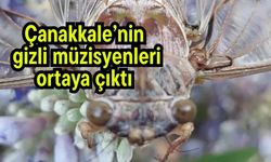 Çanakkale’nin gizli müzisyenleri ortaya çıktı