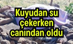 Kuyudan su çekerken canından oldu