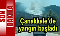 Çanakkale'de orman yangını! (Video)