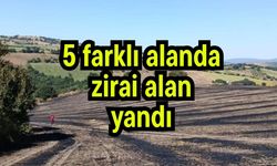 5 farklı alanda zirai alan yandı (Video)