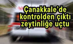 Çanakkale’de kontrolden çıktı, zeytinliğe uçtu