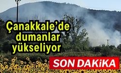 Çanakkale’de dumanlar yükseliyor