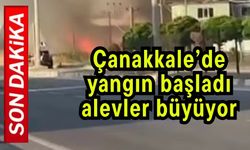 Çanakkale’de yangın başladı! Alevler büyüyor