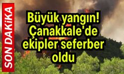 Büyük yangın! Çanakkale'de ekipler seferber oldu