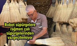 Robot süpürgelere rağmen çalı süpürgelerinden vazgeçilemiyor (Video)