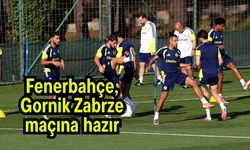 Fenerbahçe, Gornik Zabrze maçına hazır