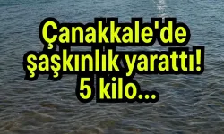 Çanakkale'de şaşkınlık yarattı! 5 kilo…