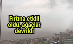 Fırtına etkili oldu, ağaçlar devrildi