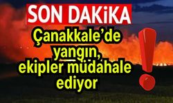 Çanakkale’de yangın, ekipler müdahale ediyor