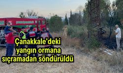 Çanakkale'deki yangın ormana sıçramadan söndürüldü