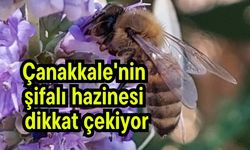 Çanakkale'nin şifalı hazinesi dikkat çekiyor