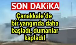 Çanakkale’de bir yangın daha başladı, dumanlar kapladı!