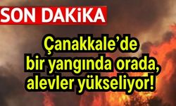 Çanakkale’de bir yangında orada, alevler yükseliyor!