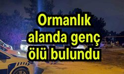 Ormanlık alanda genç ölü bulundu