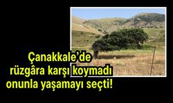 Çanakkale’de rüzgâra karşı koymadı, onunla yaşamayı seçti!